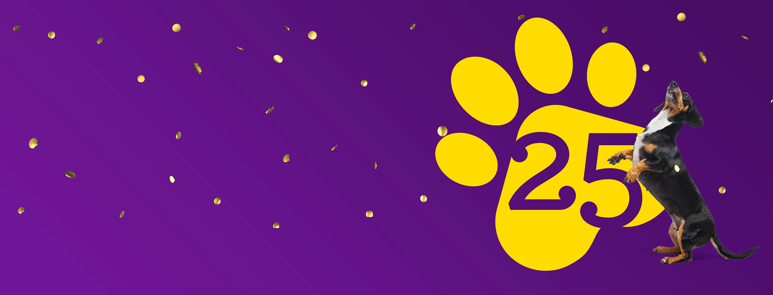 Dog celebrating 25 years Dog celebrating 25 years