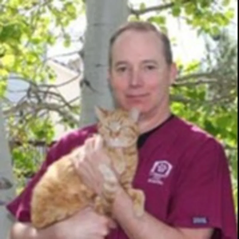 Wade Smith Wade Smith