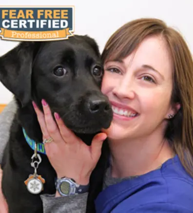 headshot of Lauren with black Labrador, Flynn headshot of Lauren with black Labrador, Flynn