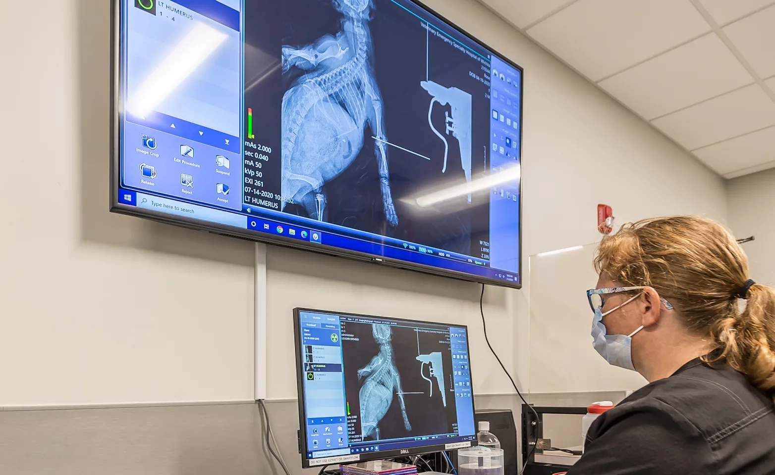 Staff looking at radiographs. Staff looking at radiographs.