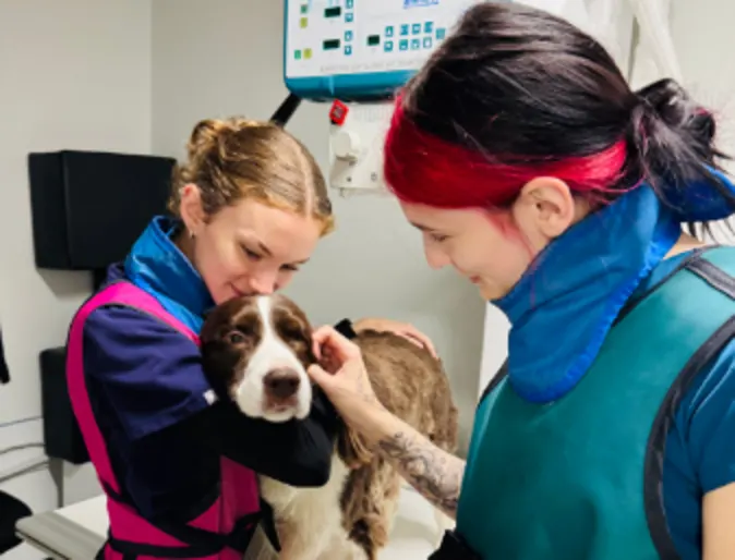 2 Staff petting dog 2 Staff petting dog
