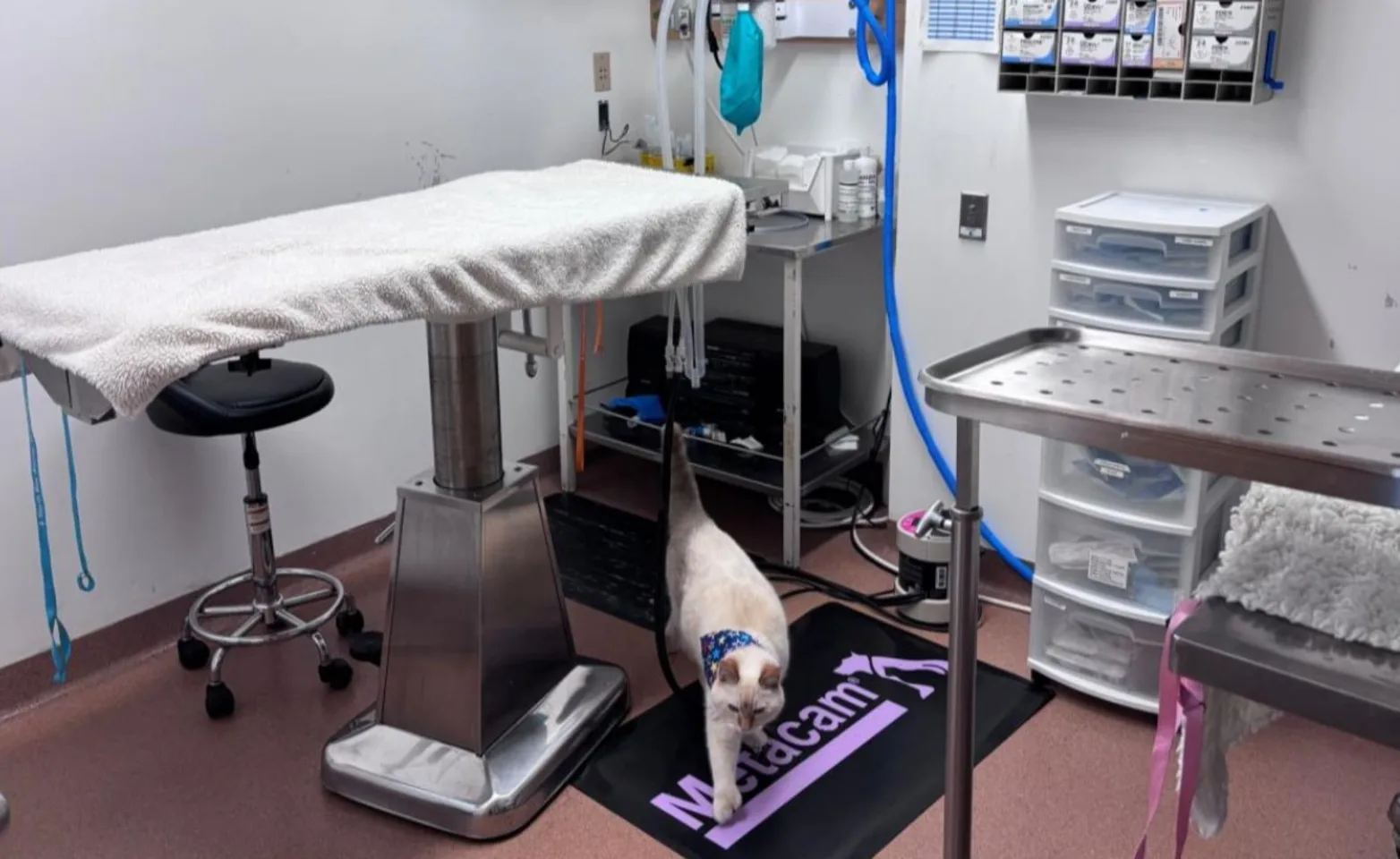 Procedure room Procedure room