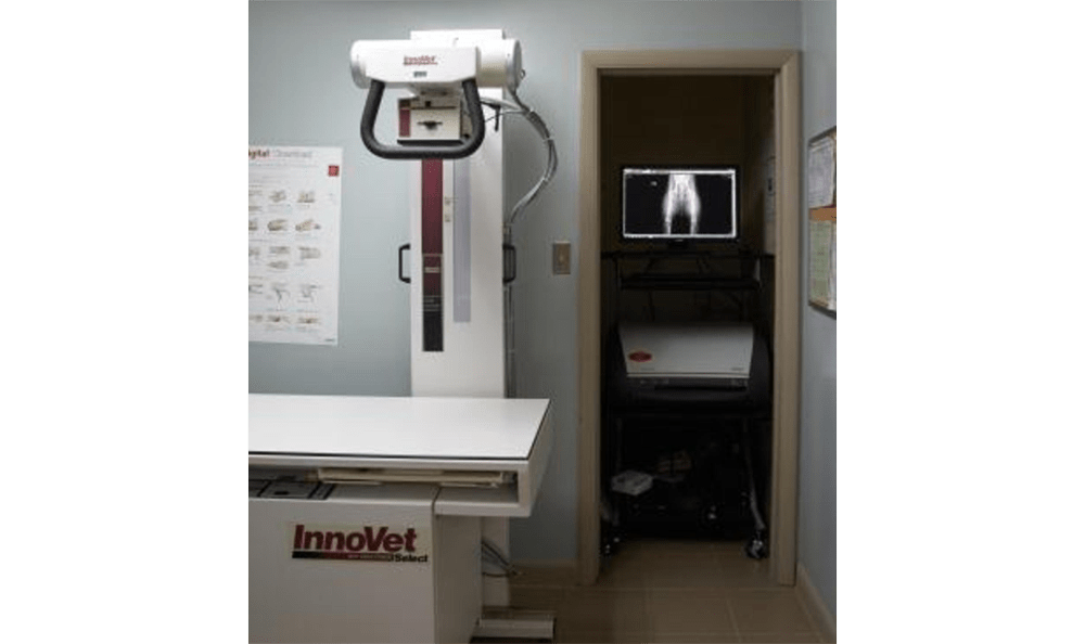 Princess Anne Veterinary Hospital Xray
