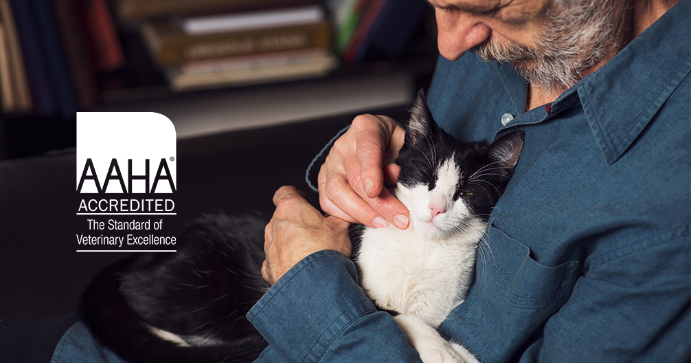 Brookfield Veterinary Hospital