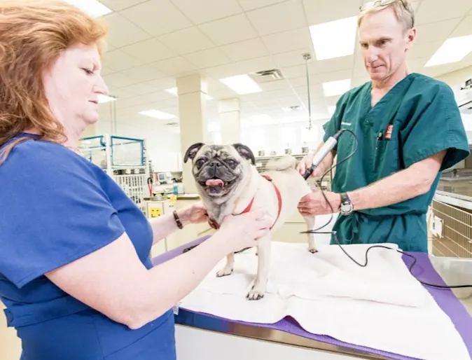Animal Specialty & Emergency Center 0473 - Dr. Barchard Animal Specialty & Emergency Center 0473 - Dr. Barchard