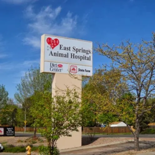 East Springs Animal Hospital road sign in Colorado Springs, CO