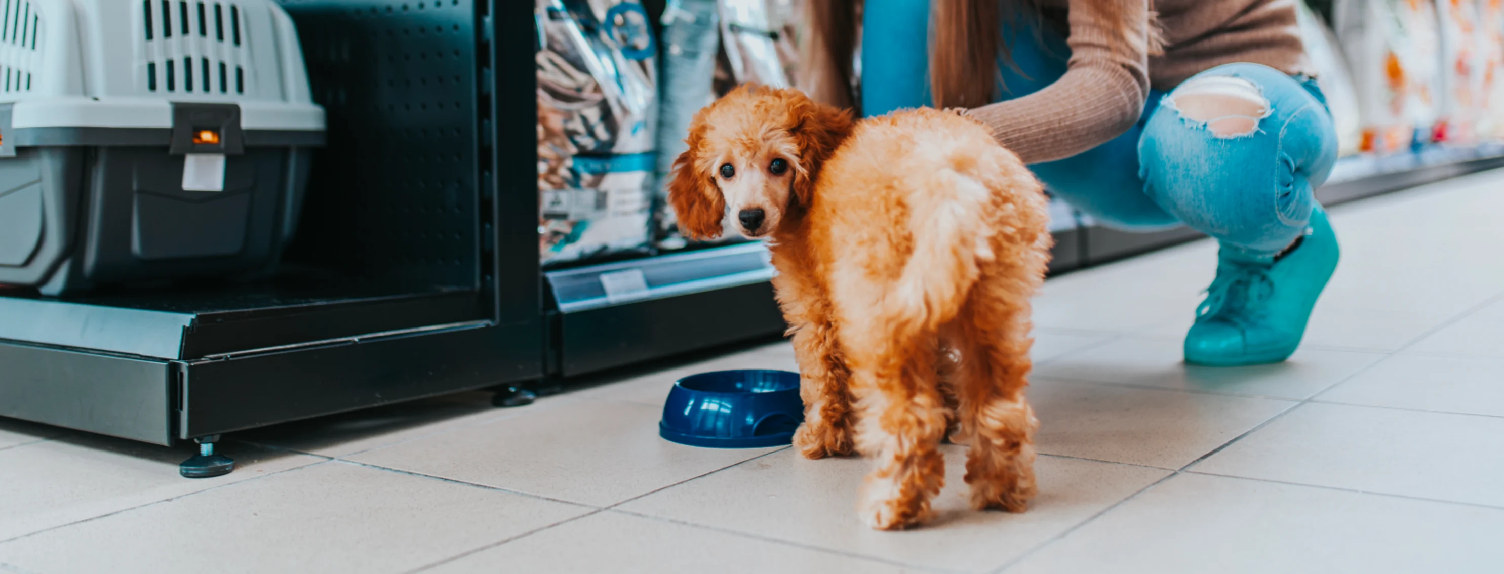 Dog bending down to eat out of a bowl with girl behind