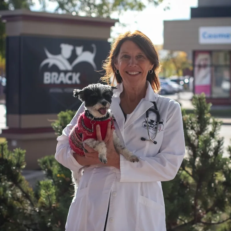 Dr. Lisa Booth Dr. Lisa Booth