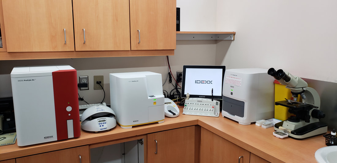 lab testing equipment at Abbotsford Animal Hospital