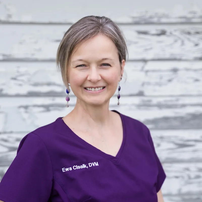 Dr. Ewa Cissik Dr. Ewa Cissik