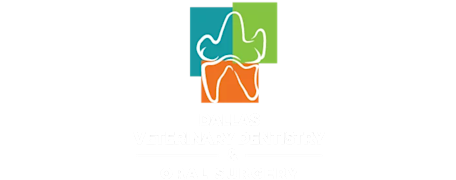 Dallas Veterinary Dentistry & Oral Surgery Logo Dallas Veterinary Dentistry & Oral Surgery Logo