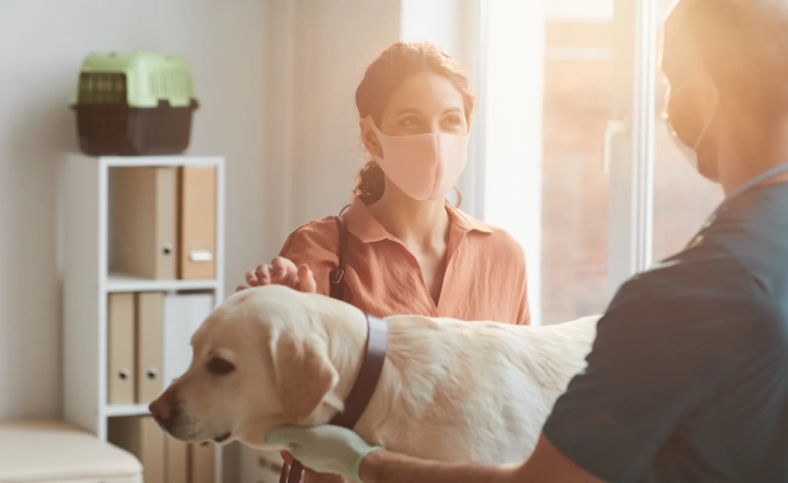 Veterinarian and pet owner talking about labrador retriever standing on table