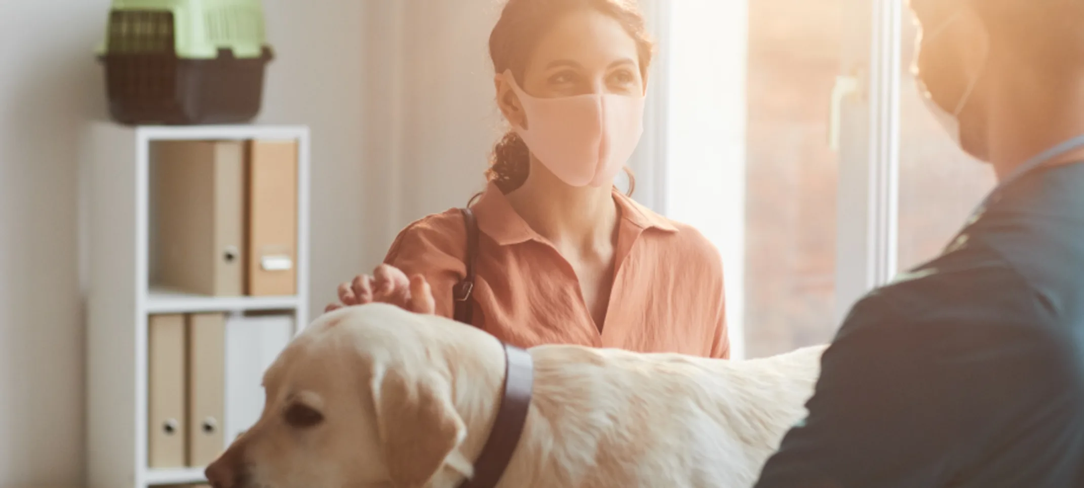 Veterinarian and pet owner talking about labrador retriever standing on table