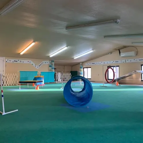 Indoor play yard Indoor play yard