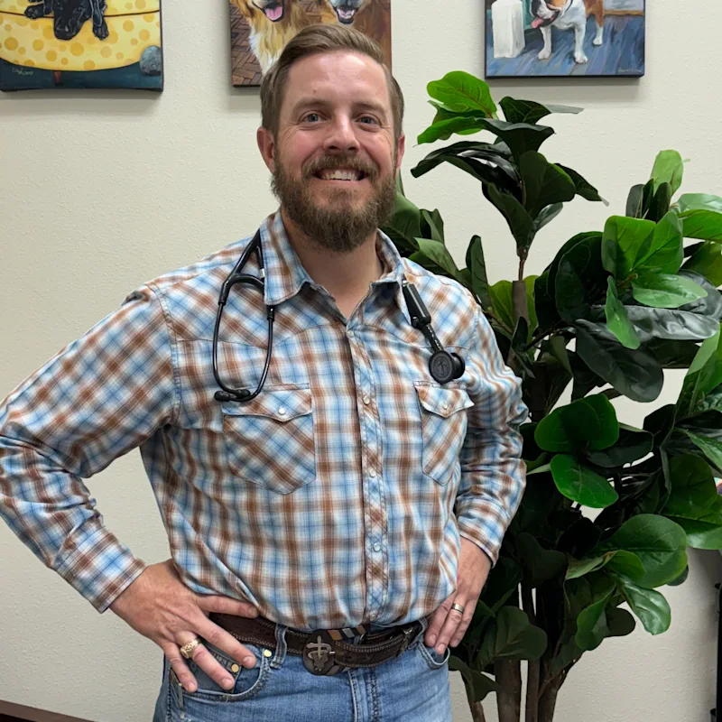 Hill Country Animal Hospital Kohl Kemnitz Hill Country Animal Hospital Kohl Kemnitz