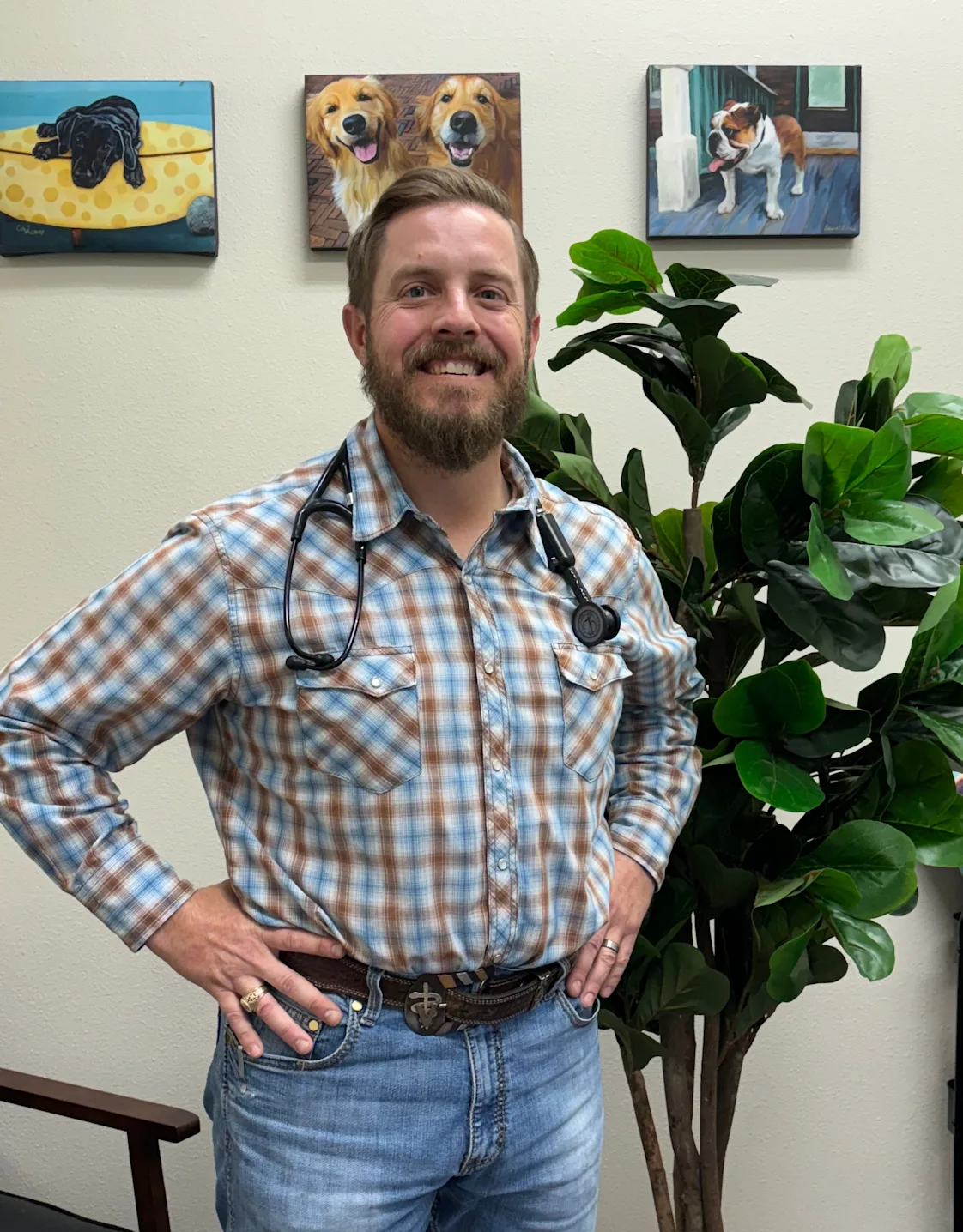 Hill Country Animal Hospital Kohl Kemnitz Hill Country Animal Hospital Kohl Kemnitz