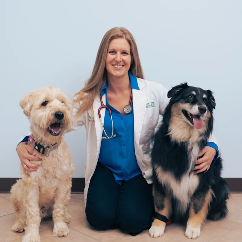 Dr. Alyssa Lima Dr. Alyssa Lima