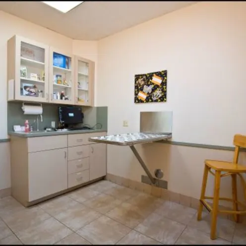 Waterford Lakes Animal Hospital Examination Area Waterford Lakes Animal Hospital Examination Area