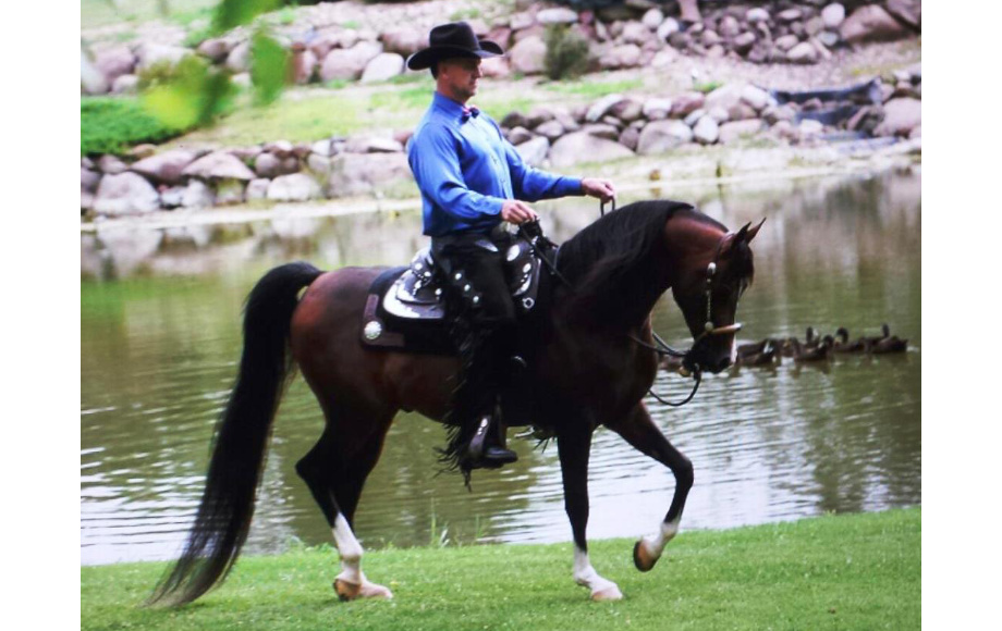 Vicario and a horse rider in front of a pond