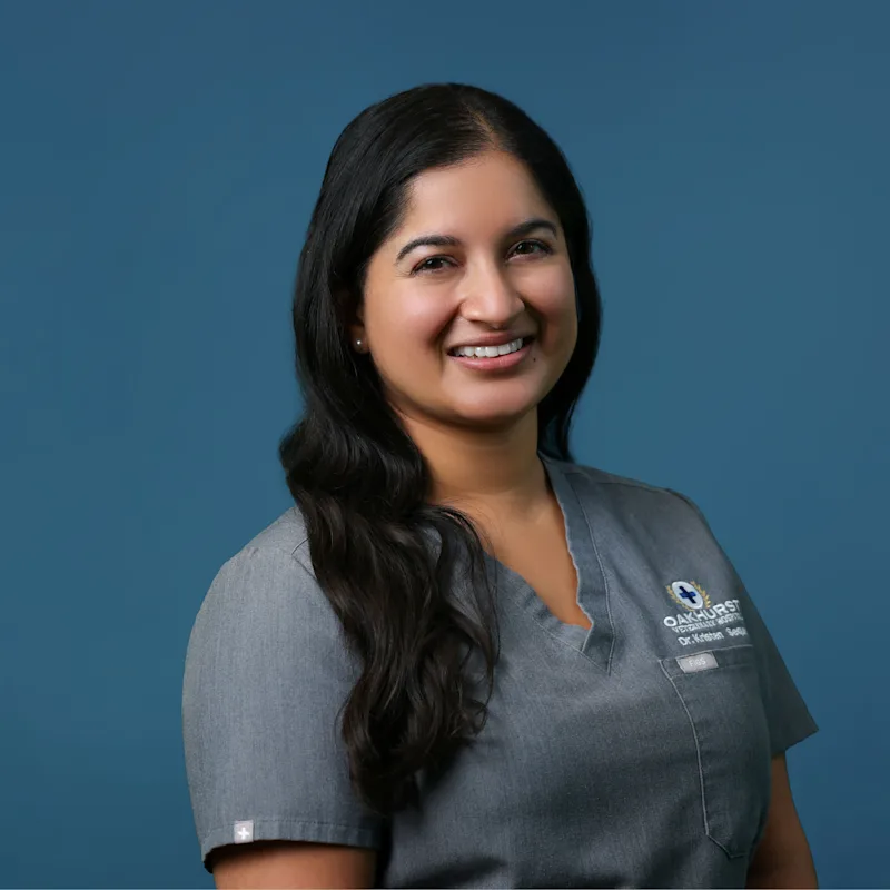 Kristen Sequeira holding dog Kristen Sequeira holding dog