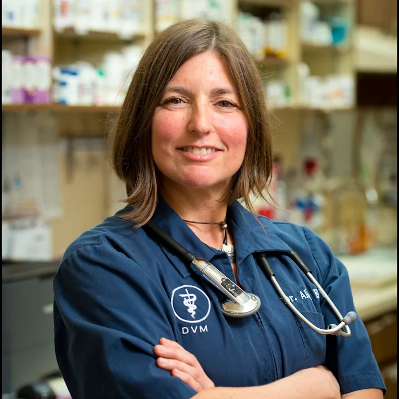 Alicia Eliscu Alicia Eliscu