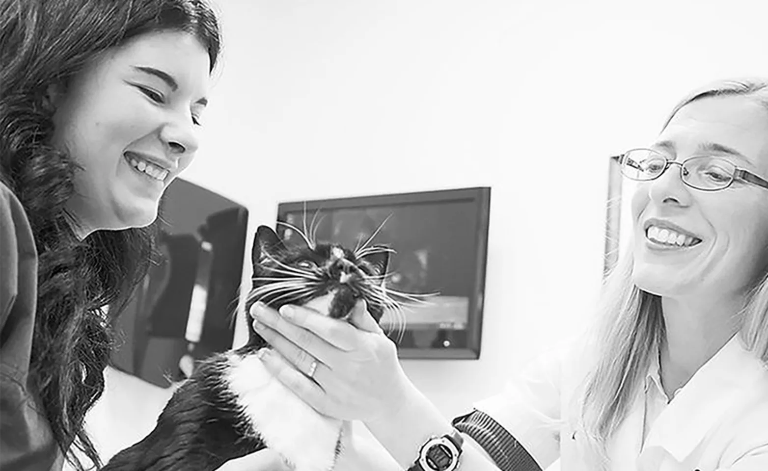 Two staff members checking up on a cat Two staff members checking up on a cat