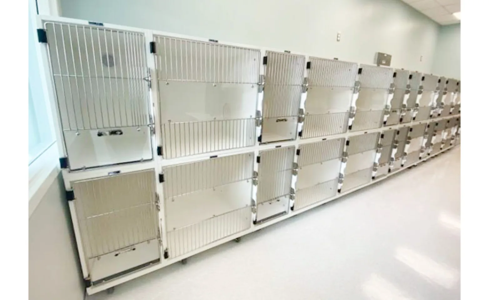 Kennels Kennels