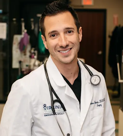 Andrew Mercurio Andrew Mercurio