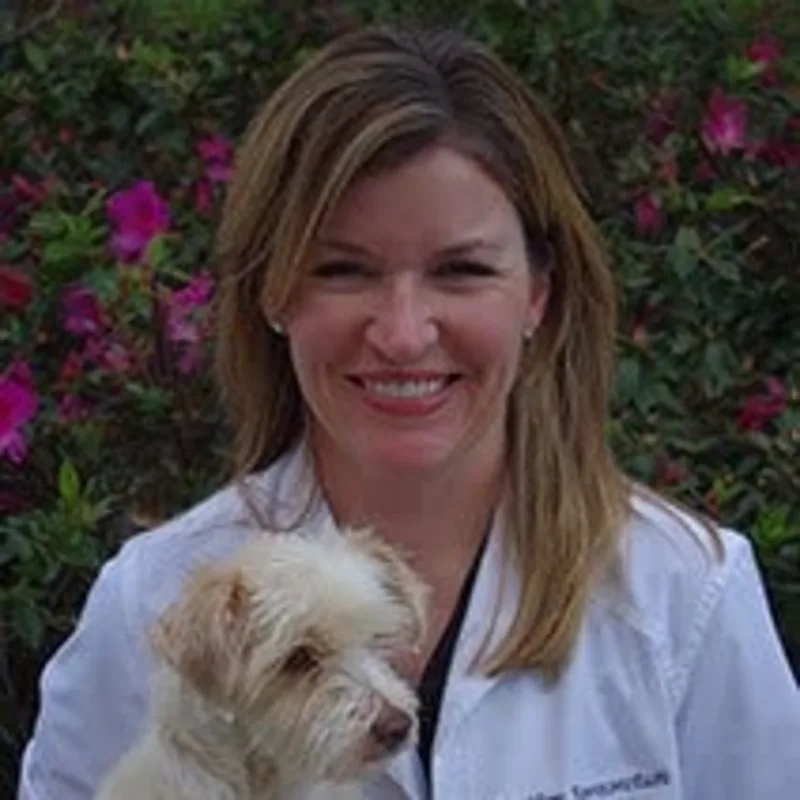 Dr. Bonaventure Dr. Bonaventure