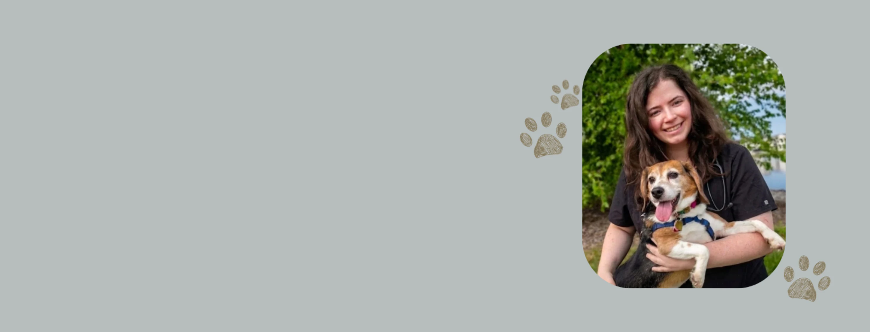 Welcome Britt Krinninger, DVM Welcome Britt Krinninger, DVM