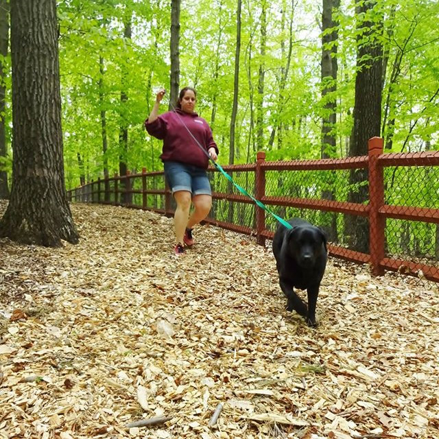 Staff walking dog on trail 