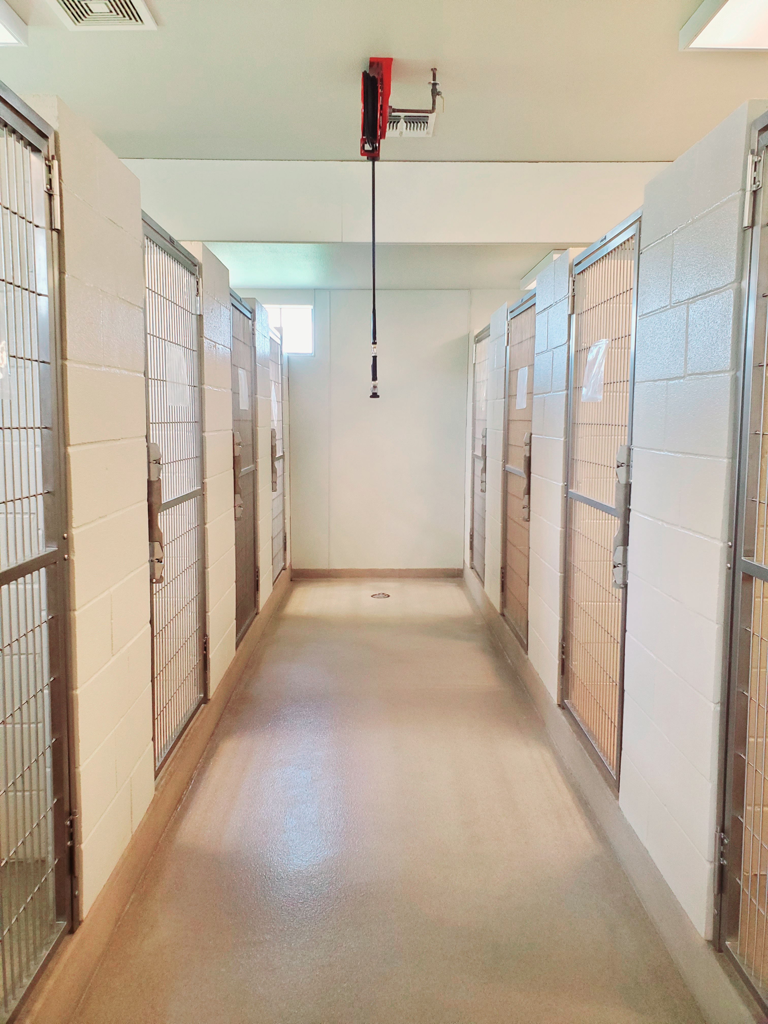 Rockwall County Veterinary Clinic Suites