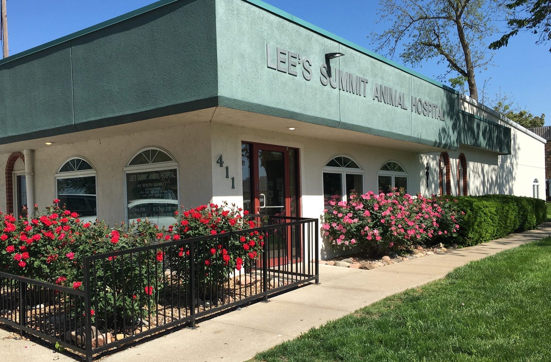 Homepage | Lee's Summit Animal Hospital