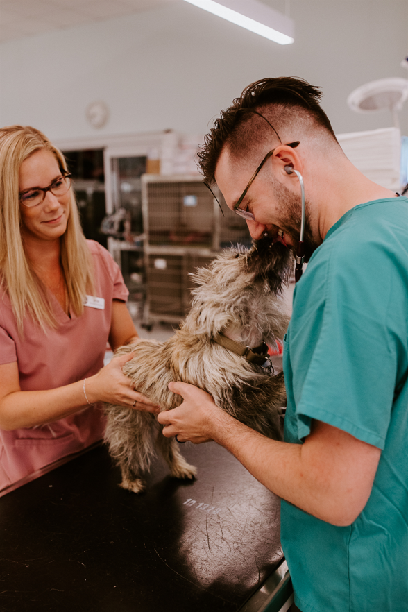Frontier Village Veterinary Clinic staff members getting kisses from a dog on an exam table