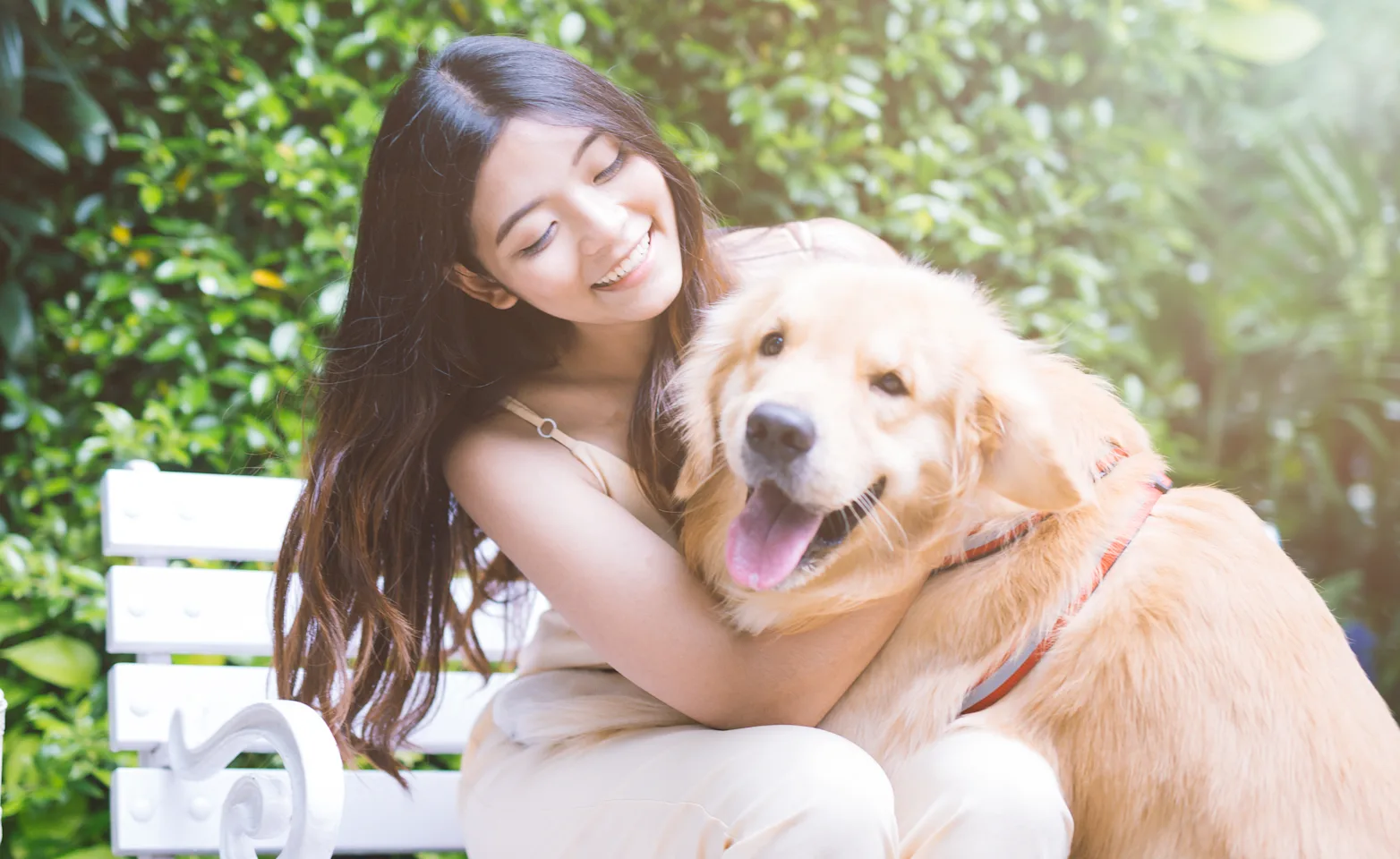 Dog on bench with woman