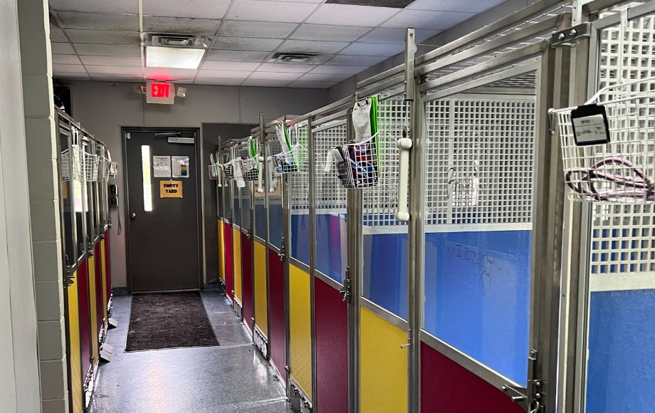Boarding Room 1 at Roxboro Animal Hospital