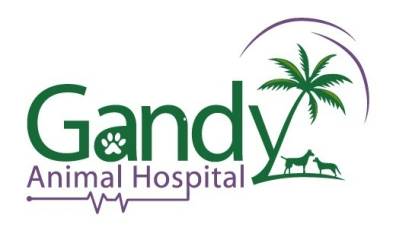Gandy Animal Hospital-HeaderLogo
