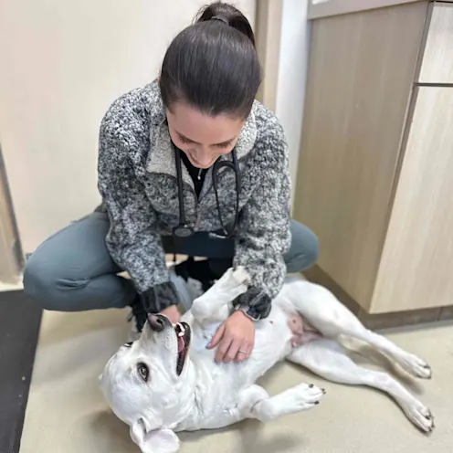 Our Staff Member Playing with a Patient Our Staff Member Playing with a Patient