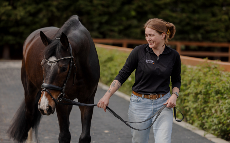 Staff Member Smiling and Guiding a Dark Brown Horse