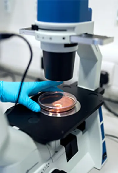 A person examining a specimen under a microscope