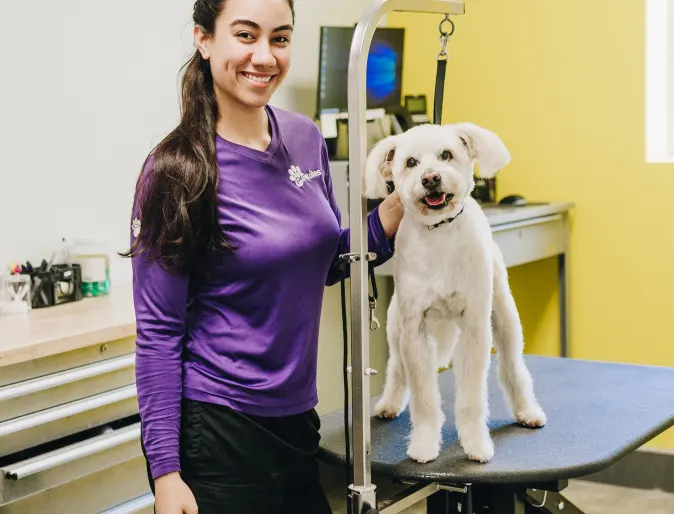 Dog with Groomer