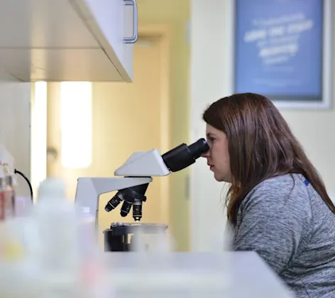 Laboratory Services at Animal Medical Center of Hattiesburg. Laboratory Services at Animal Medical Center of Hattiesburg.