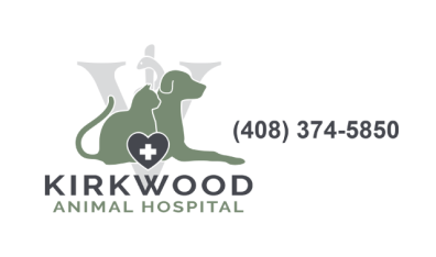 Kirkwood Animal Hospital-HeaderLogo