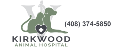 Kirkwood Animal Hospital-HeaderLogo