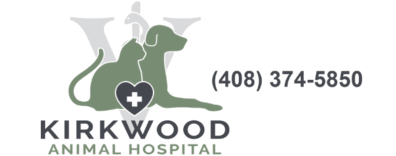 Kirkwood Animal Hospital  Logo Kirkwood Animal Hospital  Logo