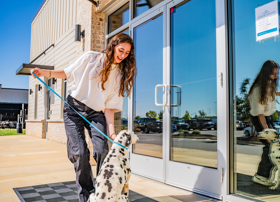 Pet parent bringing dog to AECC 