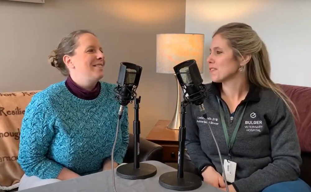 2 doctors speaking on a podcast