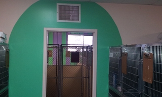 Chastain Animal Clinic Kennel Entrance and large kennel area