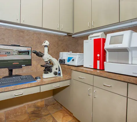 Lab area and equipment at Roanoke Animal Hospital. Lab area and equipment at Roanoke Animal Hospital.