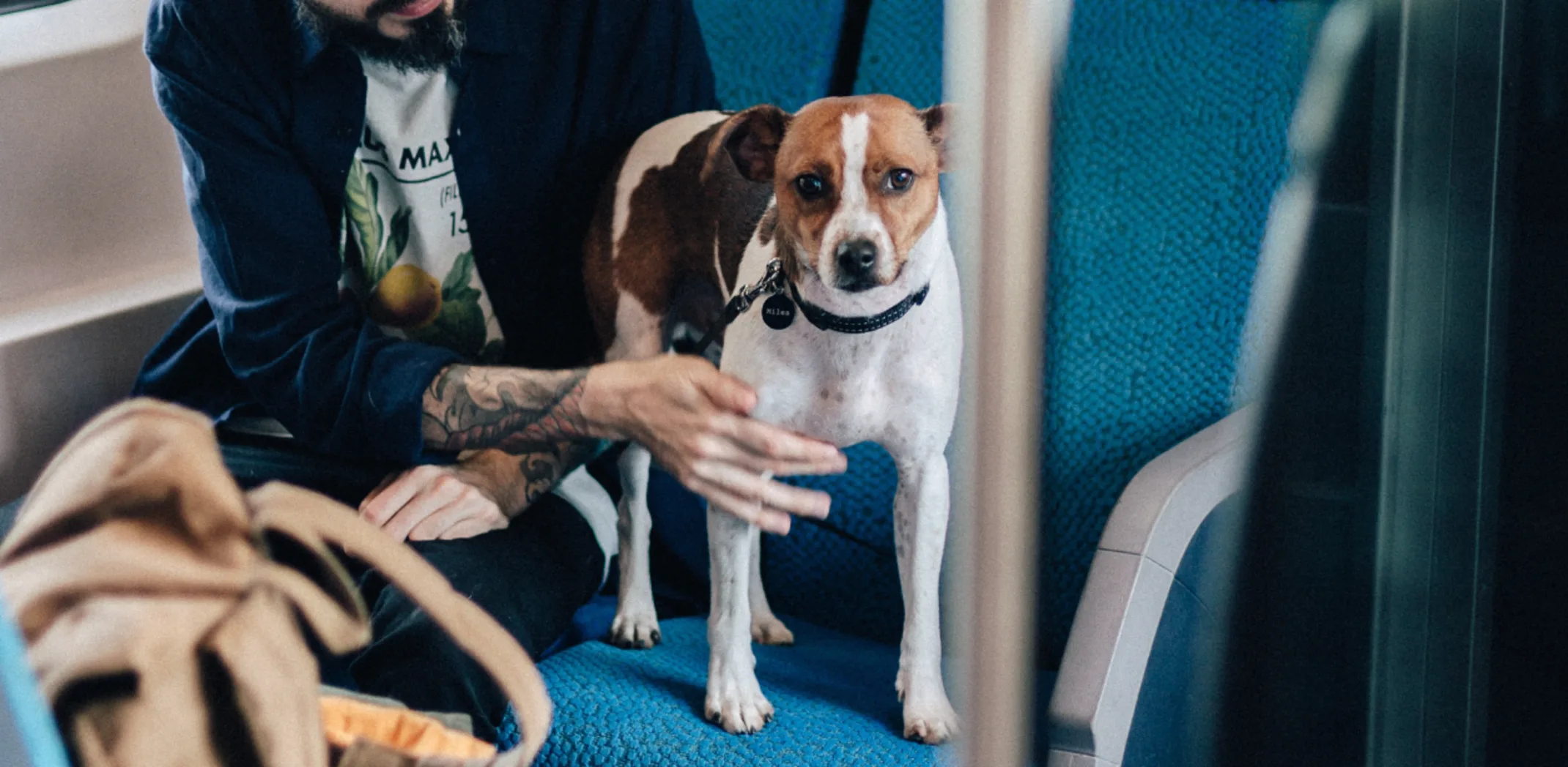 Dog on train Dog on train